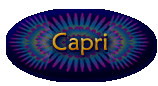 Capri Macaw - 3rd Generation Hybrid Macaws