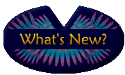 What's New at Many Feathers?